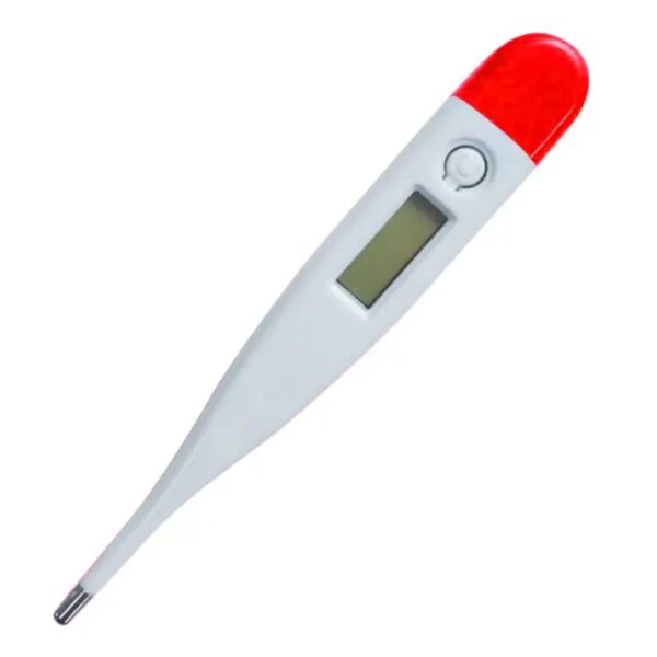 Fahrenheit Home Use Digital Thermometer - Image 4